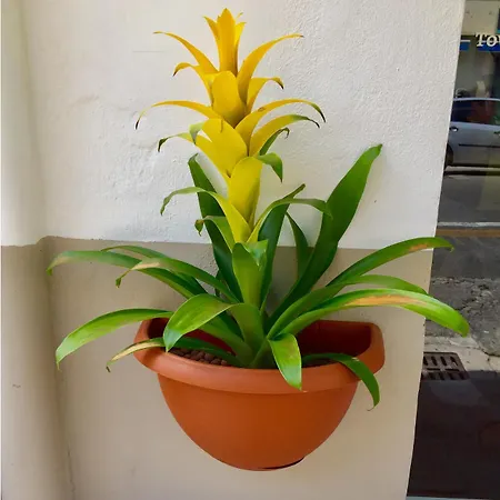 Bed & Breakfast 5 Keys Pisa